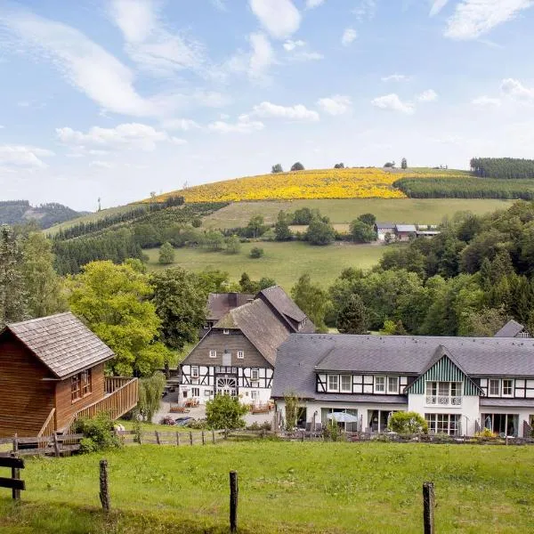 Hotel Gut Vorwald, ξενοδοχείο σε Schmallenberg