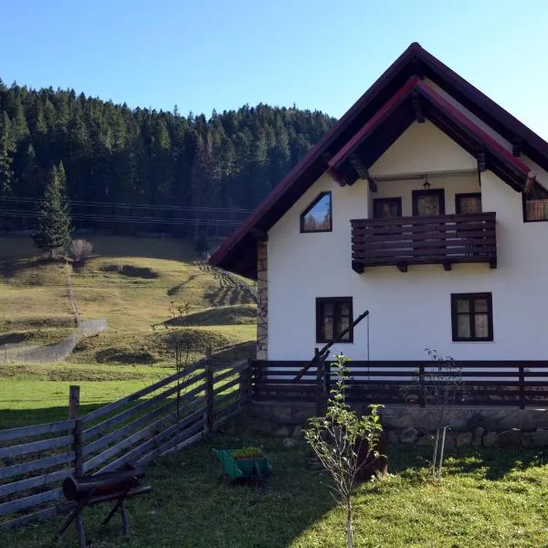 Pensiunea Daria Putna, hotel in Putnişoara