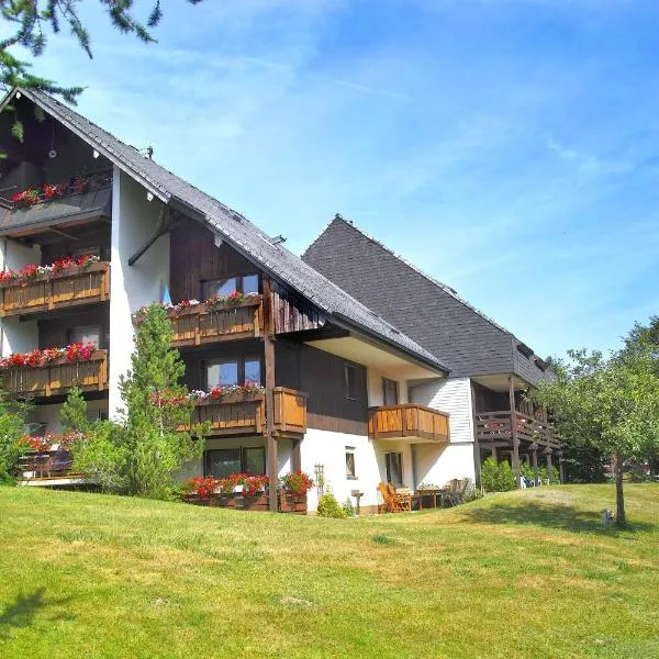 A6 Albmatte-FEWO Sauna, Hallenbad Außenbecken Massagen nebenan、Menzenschwand-Hinterdorfのホテル