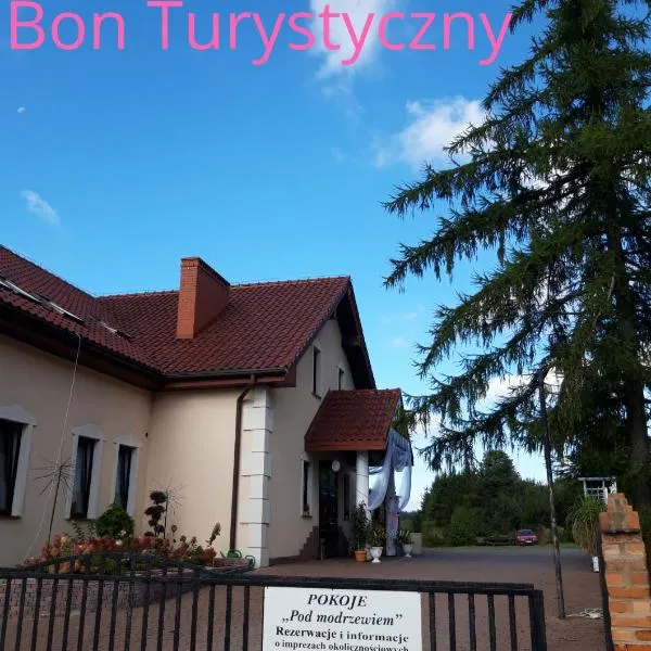 Pensjonat Agroturystyczny Pod Modrzewiem – hotel w mieście Florczaki