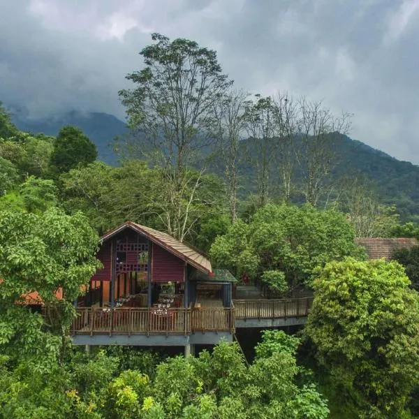 Vythiri Mist Resort: Vythiri şehrinde bir otel