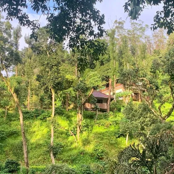 Serene Woods, hotel v destinaci Madikeri