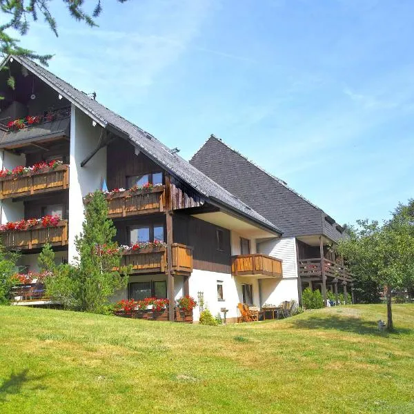 B1 Albmatte-FEWO Sauna, Hallenbad Außenbecken Massagen nebenan, hotel in Menzenschwand