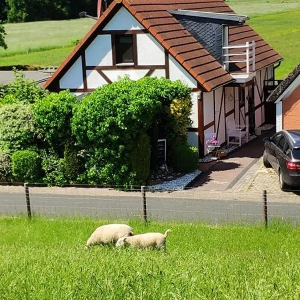 Ferienhaus Strandblume, Hotel in Elsfleth