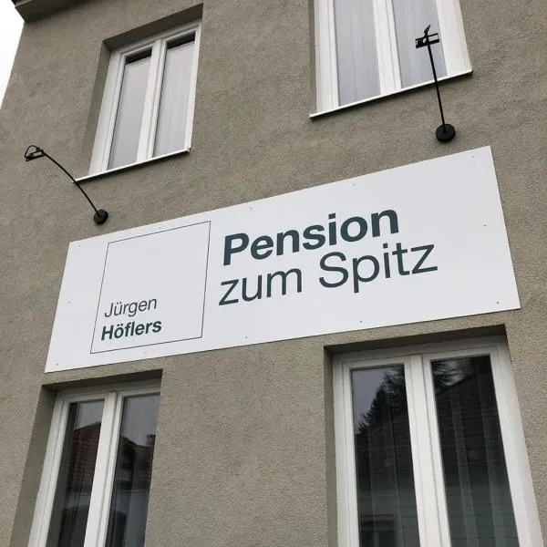 Pension zum Spitz, hotel in Wartmannstetten