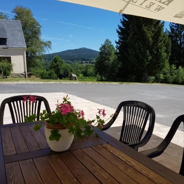 Pension und Gasthof Reithmeier, hotel v destinaci Nagel