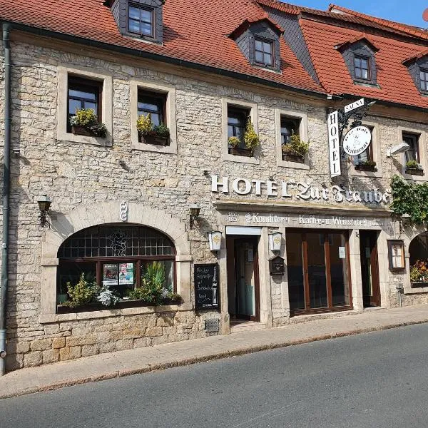 Hotel Zur Traube, hotel in Pettstädt