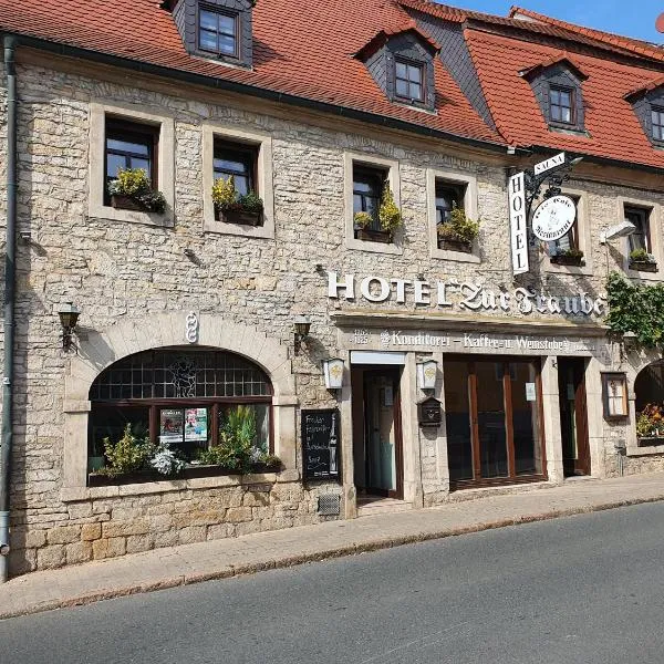 Hotel Zur Traube, hotel di Freyburg