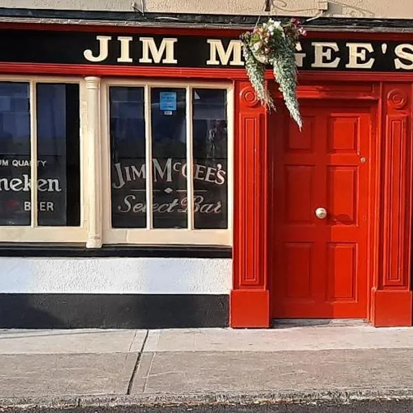 Jim McGee's, hotel in Wexford