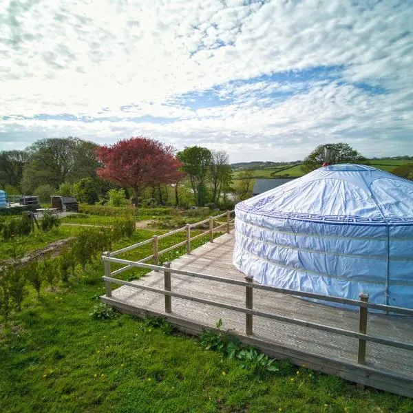 Glamping Yurts near Newquay，Saint Dennis的飯店