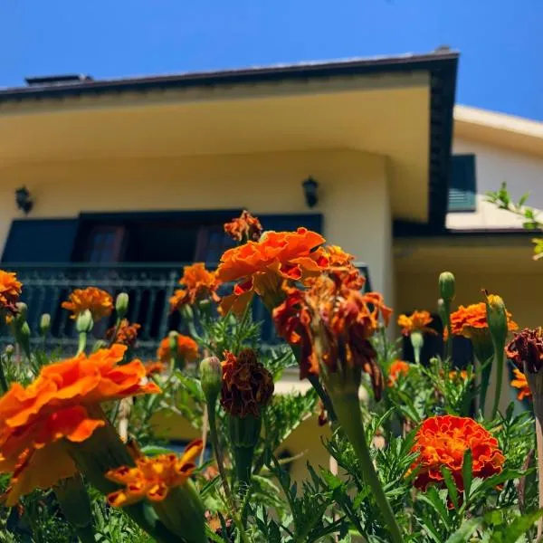 Casa São Simão, hotel v destinaci Barcelos