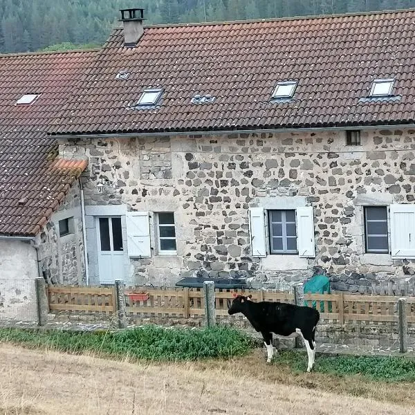 Gite a la ferme, hotel in Le Malzieu-Ville