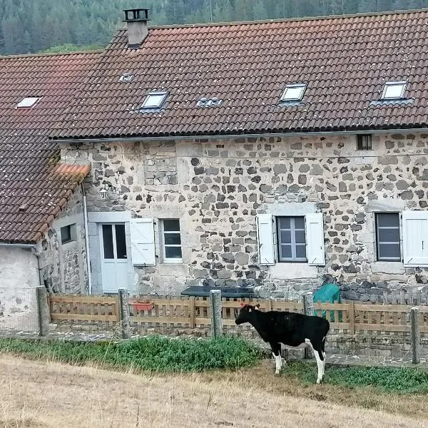 Gite a la ferme, hotel in Freyssinet-Chazalet