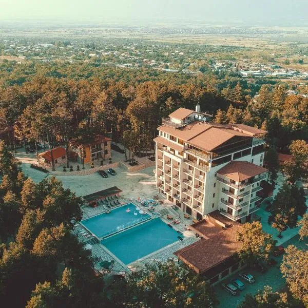 Zuzumbo Resort & Spa, hotel v destinaci Telavi