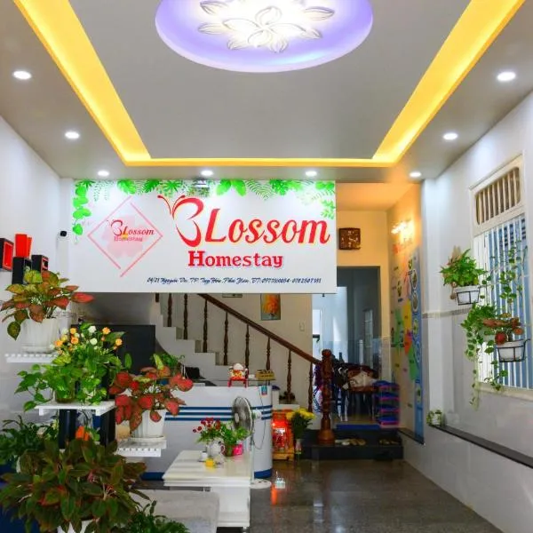 Blossom Homestay, hotel v destinaci Tuy Hoa