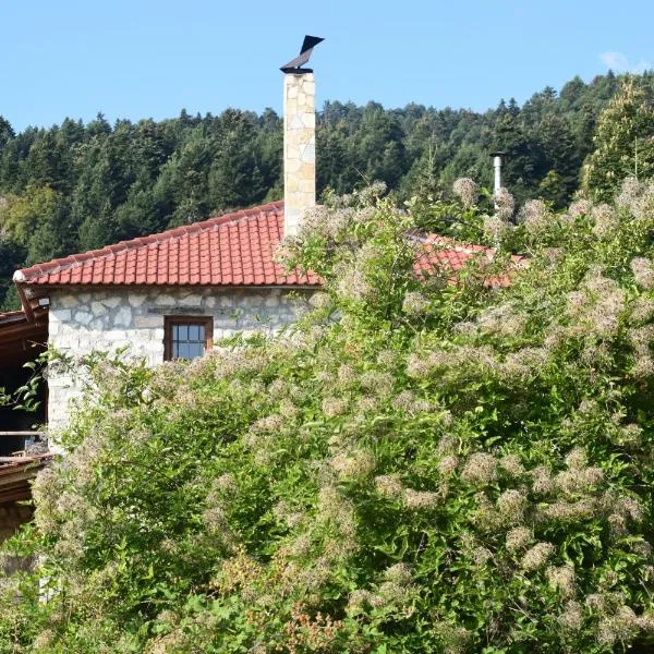 Arli House, hotel i Ano Trikala