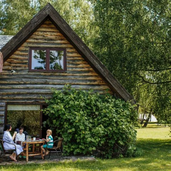 Hunter's Lodge, Hotel in Padure