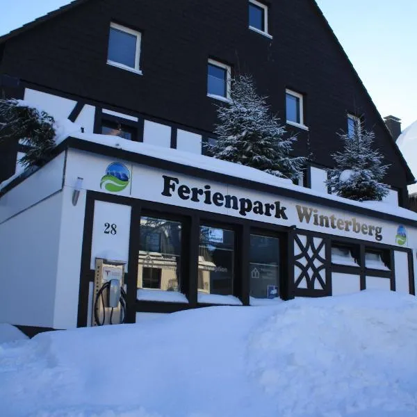 Ferienpark Winterberg, hotel in Winterberg