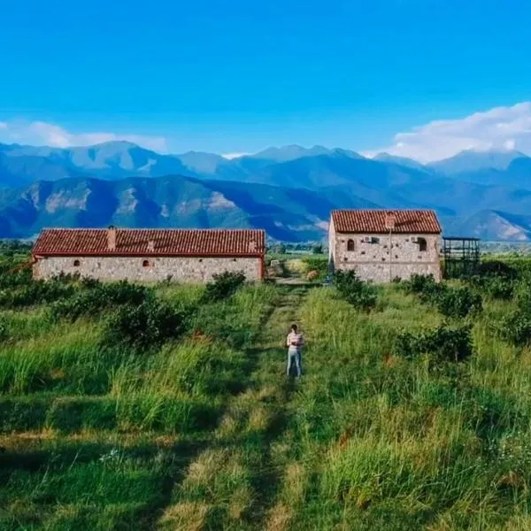 Mestvireni, hotel di Napareuli