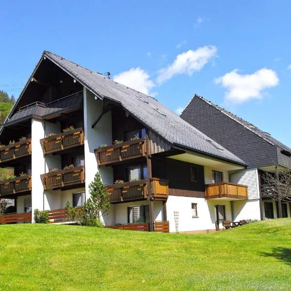 C4 Albmatte-FEWO Sauna, Hallenbad Außenbecken Massagen nebenan, hotel in Menzenschwand