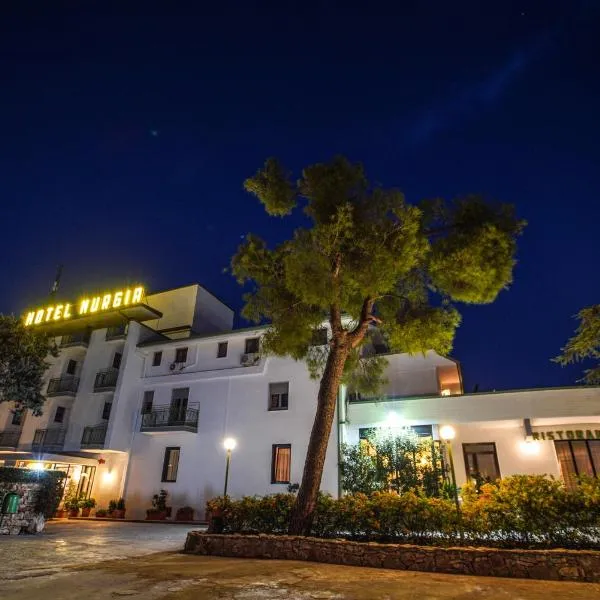 Hotel Murgia、サンテーラモ・イン・コッレのホテル