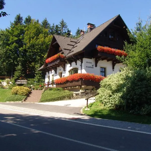 Penzion Kamínek, hotel v Janských Lázních