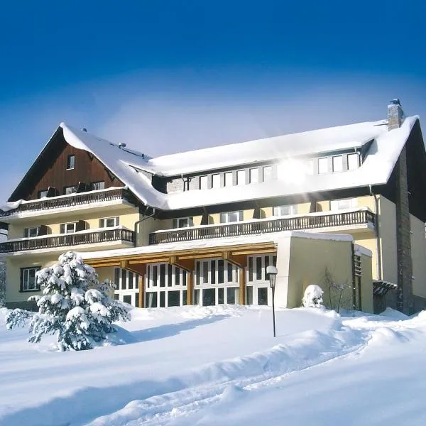 Hotel Haus am Ahorn, hotel v destinaci Schöneck