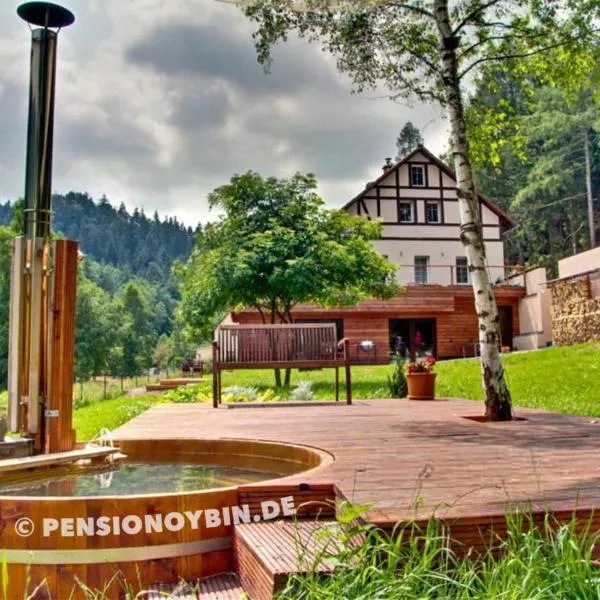 Pension Oybin, hotel in Kurort Oybin