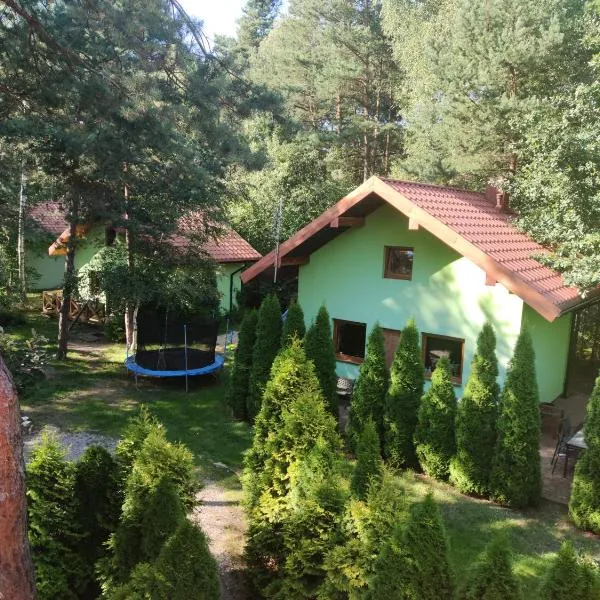 niezapominajka-jura – hotel w mieście Niegowa