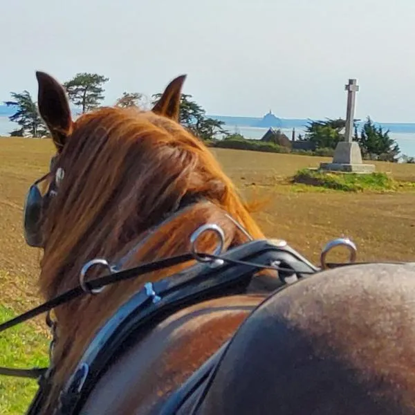 Chez Jollyjune, à moins d'une heure du Mont Saint Michel、Champeauxのホテル