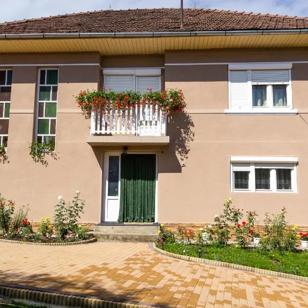 Muzsikás Vendégház, hotel v destinaci Lupeni