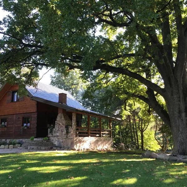 DOMEK POD DĘBEM, hotel in Mielnik