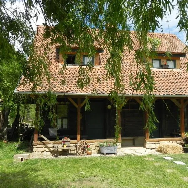 IEDERA Casa de Familii 2, hotel di Săsciori