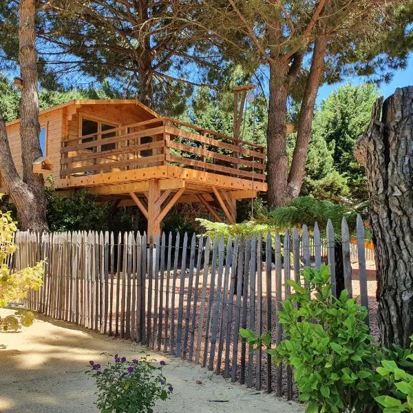 La palmeraie, hotel in Salles-d'Aude