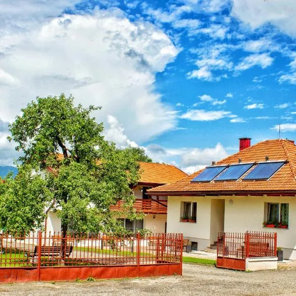Pensiunea Mariana, hotel in Ocna Şugatag