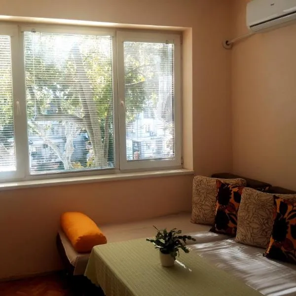 Central Apartment, hotel in Aydemir