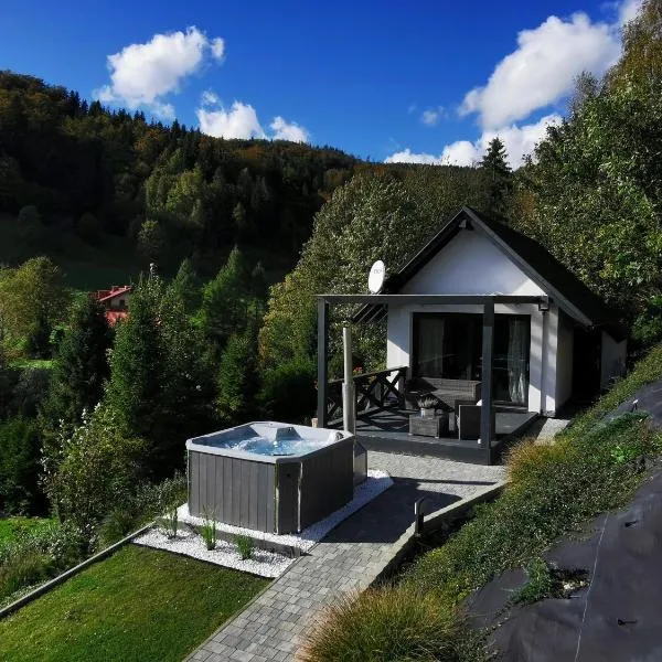 Malinowy Zakątek, hotel ve Visle