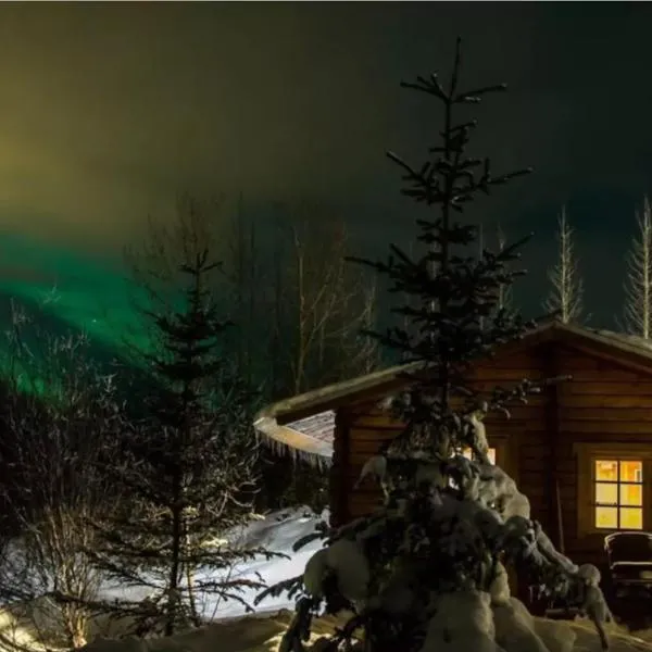 Arngrimslundur log cabin - cabin 3, hotell i Fludir