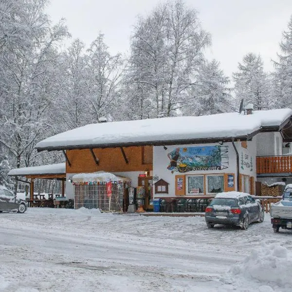 Albergo Pineta – hotel w mieście Castello-Molina di Fiemme