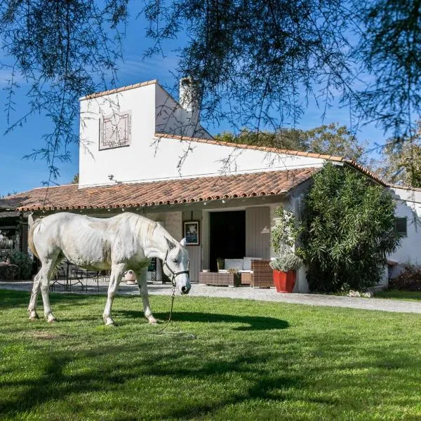 Hotel Mas Des Barres, hotel a Les Jasses dʼAlbaron