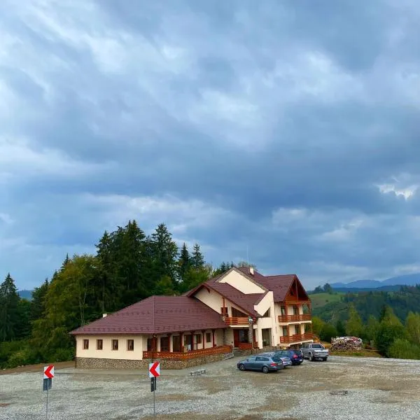 PENSIUNEA BRADUL, hotel in Dealu Ştefăniţei