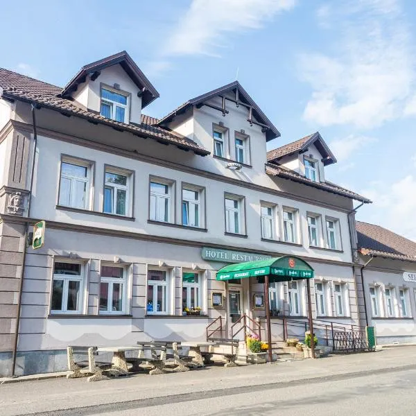 Hotel Seifert, hotel in Hřebečná