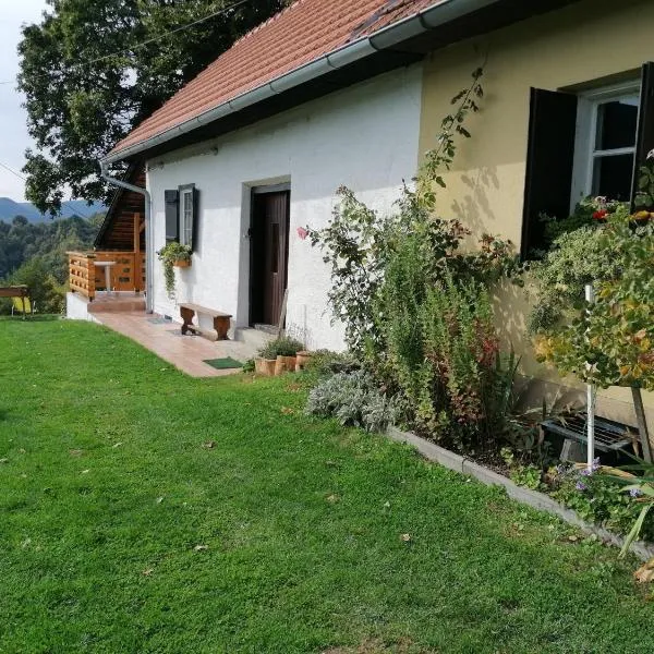 Rural house above the forest, hotel in Klenovnik