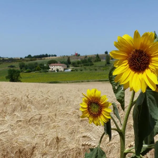 Gites des Camparros, hotel in Gibel