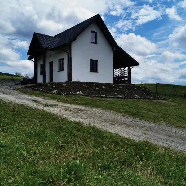 Czadzia Przystań, hotel v destinácii Czarna