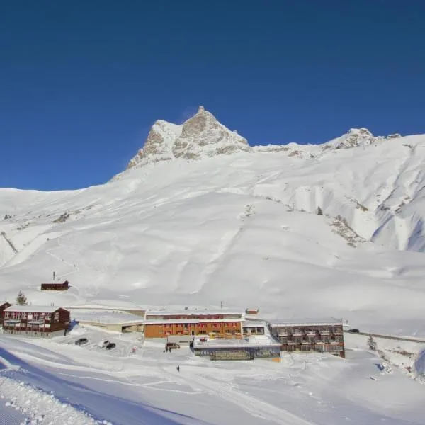 Hotel Adler, отель в Варте