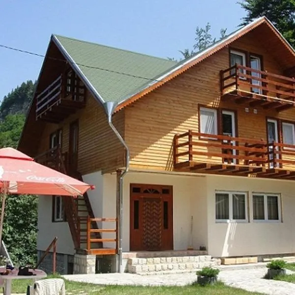 Pensiunea Madona, hotel in Dragosloveni