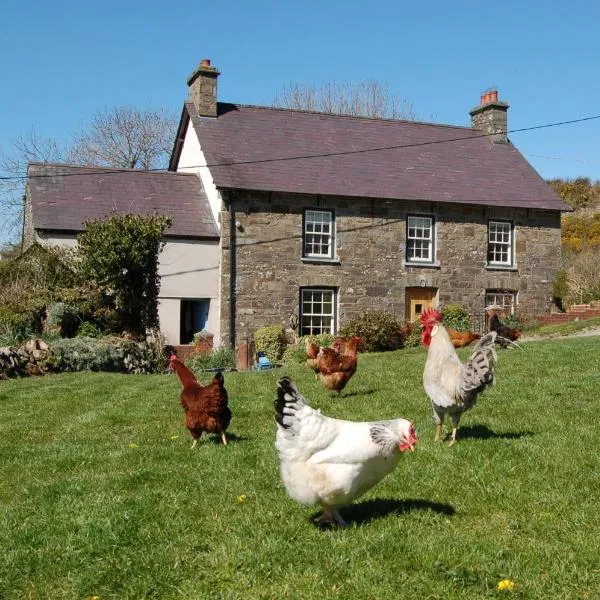 Nantgwynfaen Organic Farm Wales, hotel en Newcastle Emlyn