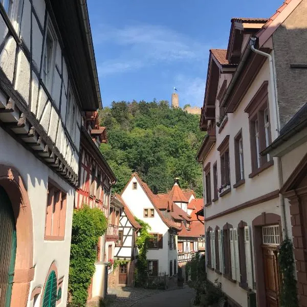 Turmwohnung Büdinger Hof、ヴァインハイムのホテル