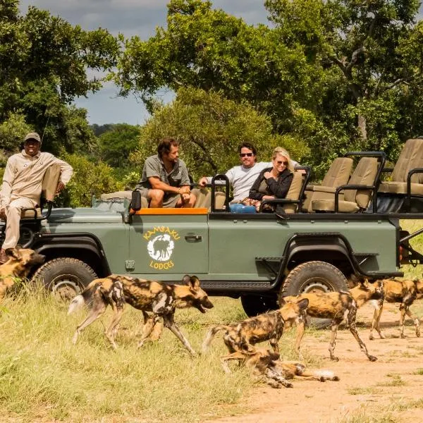 Kambaku Safari Lodge, hotel in Timbavati Game Reserve